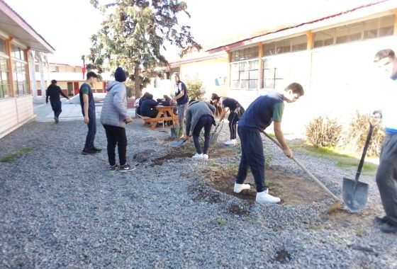 La imagen muestra a un grupo de estudiantes trabajando la tierra para plantar diversas especies en el patio del liceo Cardenal Antonio Samoré durante 2019.