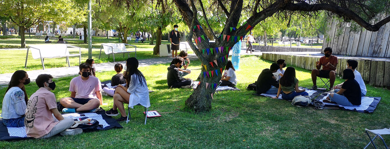 Estudiantes sentados en grupos en explanada de pasto, se ve un árbol al centro