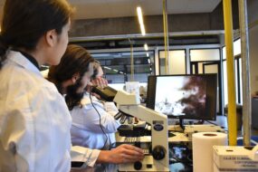 Fotografía de tres personas con bata blanca, una de ellas con sus manos en un microscopio, todas mirando una pantalla
