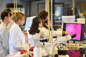 Fotografía de un grupo de personas con bata blanca mirando fijamente a una pantalla, el espacio donde se encuentran es un laboratorio